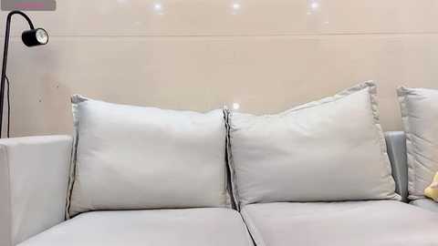 Media: Video of a minimalist living room with a white leather sofa adorned with two large, white throw pillows. A black floor lamp stands in the background. The walls are light-colored and the overall ambiance is clean and modern.