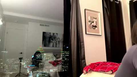 Media: Video of a modern apartment with a mirror reflecting city lights, featuring a framed black-and-white portrait on the wall, a red plaid blanket, and a glass table.