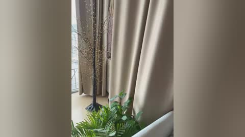 A video of a modern living room with beige curtains partially drawn, revealing a tall, bare tree branch and a fern plant on a windowsill. The room has a light beige floor and a minimalist design.