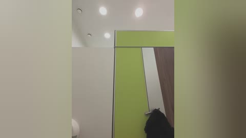 Media: A video of a minimalist interior with a white wall, green partition, and a wooden door, featuring a single recessed light.