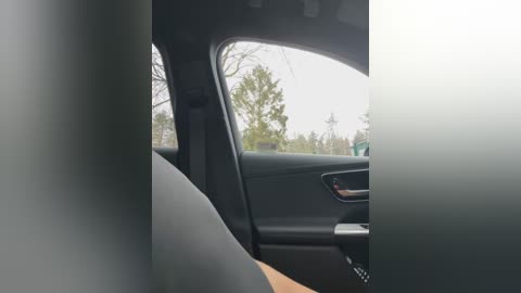 Media: Video of a car's interior, showing a black leather seat and door panel, with a blurred view of the outside through the window. The background includes a cloudy sky and trees.