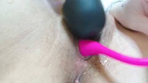 Media: Close-up video of a person using a pink vibrating wand on their shaved genital area. The skin is light-toned with visible pubic hair.