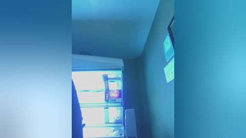 Media: A video of a narrow, dimly lit hallway with blue-tinted walls. A white freezer and shelves are visible on the left, with a small window on the right casting a faint light.