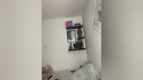 Media: Video of a small, tidy bedroom with white walls, a beige teddy bear, a gray bed, and a bookshelf with books and decorative items.