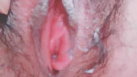 Media: Close-up video of a woman's vulva, showing pink inner labia and surrounding pubic hair, with visible skin texture and natural moisture.