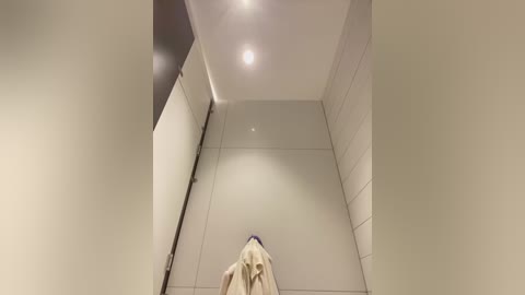 Media: Video of a modern, minimalist bathroom with white tiled walls and floor, a beige towel hanging from a hook, and a ceiling-mounted light fixture emitting a soft glow.