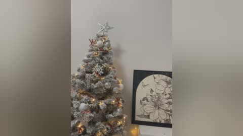 Media: A video of a small, festive Christmas tree with white snowflake decorations, star topper, and warm, glowing lights. The tree stands against a beige wall adorned with a framed, minimalist black-and-white artwork.