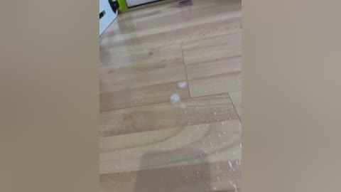 Media: Video of a light wooden floor with two small white balloons partially deflated. Background shows a white object, possibly a toy, and a green object, possibly a piece of furniture or a toy.