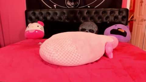 Media: Video of a plush Hello Kitty and a skull pillow on a pink bedspread against a black, tufted headboard, with a pink wall and a wooden door visible in the background.