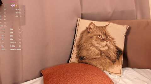 Media: A video of a fluffy brown cat with a disgruntled expression printed on a beige pillow, set against beige curtains and an orange textured blanket, creating a cozy, warm bedroom ambiance.