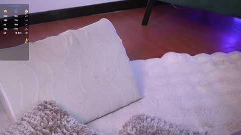 Video of a plush, cream-colored carpet with a textured, fluffy white pillow and a black metal chair leg in the background.