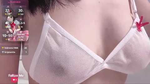 Media: A close-up video of a woman wearing a sheer white bra with red ribbons, revealing her medium-sized breasts. The background includes social media icons and a \"Follow Me\" label.