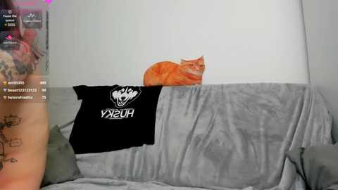 Media: A video captures an orange tabby cat curled up on a gray blanket, next to a black T-shirt with white text reading \"XUER.\" The background is a white wall, and a tattooed arm with floral designs is partially visible on the left.