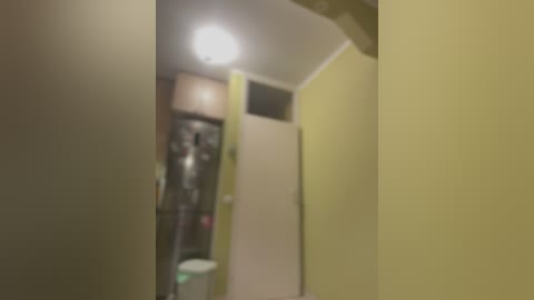 Media: A video of a dimly lit, narrow hallway with green walls, featuring a closed beige door and a blurred, indistinct figure standing in the background.