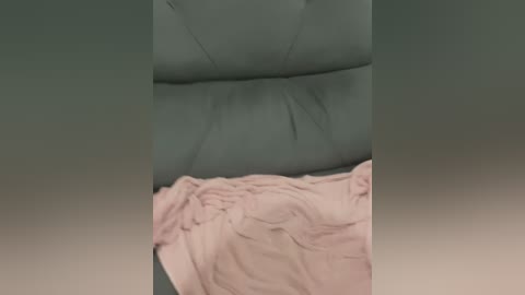 Media: A video shows a folded, light pink blanket on a gray, quilted leather couch. The background is a muted green gradient. The blanket has a soft, textured appearance.