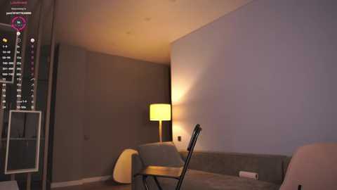 Media: Video of a modern, dimly-lit room with gray walls, a yellow lamp, a black chair, and a tall, thin lampshade.