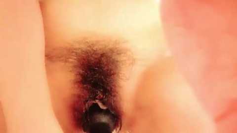 Media: Video of a close-up view of a human vulva with pubic hair, featuring a black, cylindrical object inserted into the vagina. The background is a soft, peach-colored fabric.