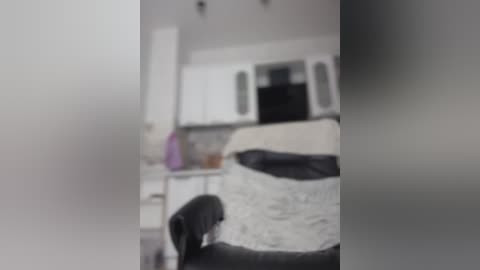 Media: Blurry video of a modern kitchen with white cabinets, a black countertop, a purple vase, and a black dog sitting on a white bed.