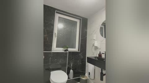 Media: Video of a minimalist bathroom with a white toilet, dark marble tiled walls, a small potted plant, and a white window.