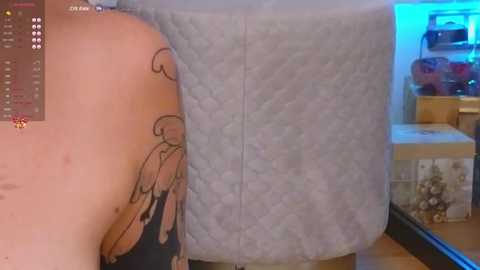 Media: A video of a person with fair skin, showing a tattoo of a female figure with wings on their back. The background includes a light blue quilt, a window with a view of a room, and a wooden table.