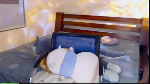 Media: Video of a plush white cat on a bed, wearing a blue collar and lying on a grey and blue patterned blanket. A laptop is positioned on the cat's back, with a wooden headboard and a white wall in the background.