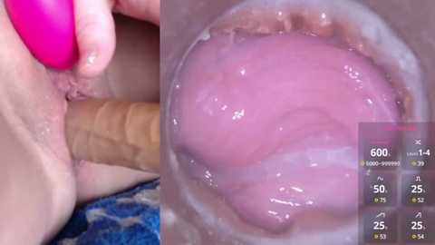 Media: Video of a pink dildo inserted into a light-skinned person's vagina, showing the detailed anatomy and insertion. The image includes a digital gauge overlay displaying statistics and metrics on the right.