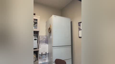 Media: Video of a small, cluttered kitchen with beige walls. A large white fridge stands against the wall, adorned with a straw hat and a paper towel holder. A microwave sits on a shelf above a stacked dishwasher.