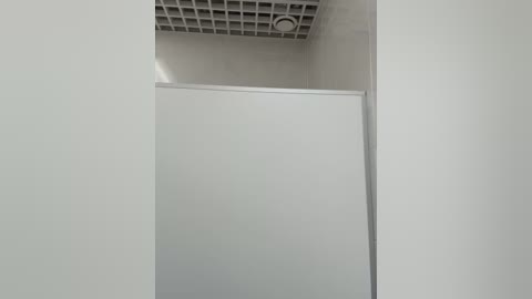 Media: Video of a minimalist, modern office interior featuring a white ceiling with a grid pattern, a circular light fixture, and a large white wall panel that partially blocks the view.