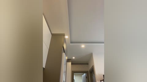 Media: A video of a modern, minimalist hallway with smooth beige walls, recessed ceiling lights, and a narrow, rectangular skylight. The scene is well-lit, creating a clean, contemporary ambiance.