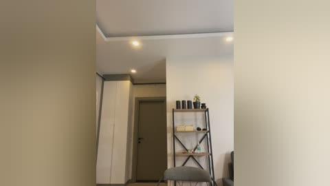 Media: Video of a minimalist, modern hallway with off-white walls, recessed ceiling lights, a tall white wardrobe, a small plant on a metal shelf, and a grey chair.