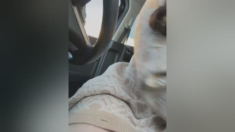 Media: Video of a person wearing a beige sweater, seated in a car with the steering wheel and car interior visible. The person's head and torso are in the frame, with the steering wheel partially obstructing the view.