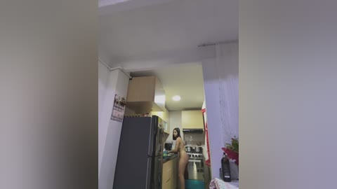 Media: Video of a small, cluttered kitchen with a woman in her underwear, standing near a fridge, surrounded by cardboard boxes and various objects.