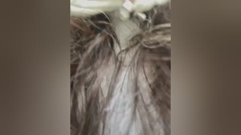 Media: A close-up video of a person's face covered in fluffy, light brown feathers, possibly from a costume or prank, with a blurred background. The feathers appear soft and voluminous, obscuring the individual's features.