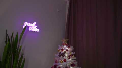 Media: Video of a dimly lit room with a small, decorated Christmas tree adorned with red and gold ornaments, a star on top, and purple neon lights spelling \"Merry Christmas.\" A potted plant is visible on the left.