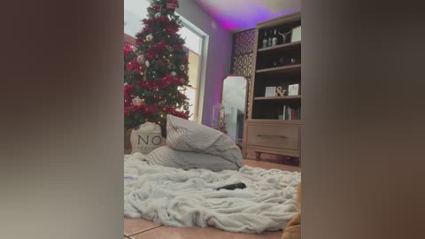 Media: Video of a cozy living room with a decorated Christmas tree, plush gray throw, and wooden bookshelves; a person lies asleep on the floor, surrounded by festive decor.