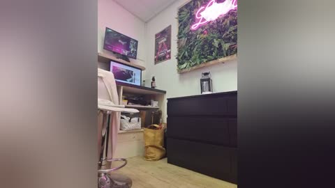 Media: Video of a cozy, modern room with a white chair, black dresser, TV, neon sign, green wall art, and wooden floor.