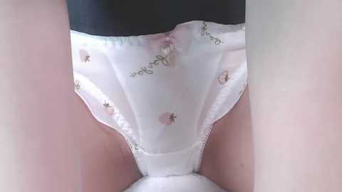 Media: A close-up video of a woman's white, semi-sheer panties with small, pink floral patterns and a delicate lace trim, highlighting her pelvic region. The background is blurred, focusing on the underwear's delicate texture and floral embroidery.