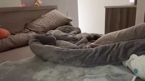 Media: A video of a cozy bedroom with a gray plush dog bed, a brown cushion, and a beige blanket, set against a muted gray wall with a small window.