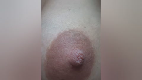 Media: Video of a close-up of a woman's left breast, featuring a large, dark brown areola with a prominent nipple, light skin tone, and visible pores.