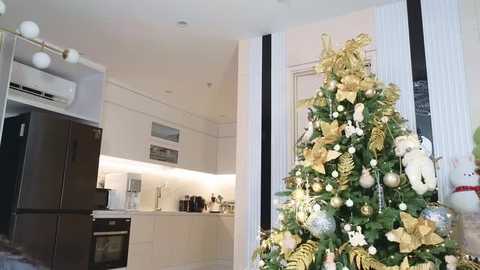 Media: Video of a modern kitchen with white cabinets, stainless steel appliances, and a black refrigerator. Adjacent to the kitchen is a decorated Christmas tree adorned with gold and white ornaments, positioned in front of white vertical blinds.