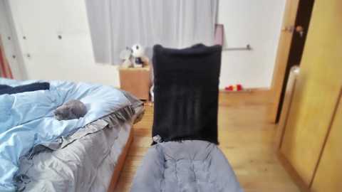 Media: Video of a messy bedroom with a black chair on a bed covered in light blue bedding, wooden floor, and a white wall with a window partially covered by gray curtains.