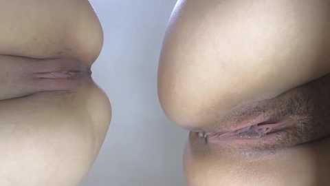 Media: Video of a close-up, mirrored reflection of a woman's vulva and anus, showing natural skin tones and textures.