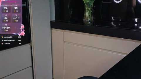 Media: A video of a modern kitchen with a black countertop, white cabinets, and a digital clock displaying 22:30. A vase with green flowers sits on the counter. The background is dimly lit, creating a serene ambiance.