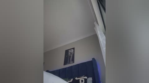 Media: Video of a minimalist bedroom ceiling with a white, textured surface and a single framed photo of a person in black and white. The bed has a navy-blue upholstered headboard and white sheets.