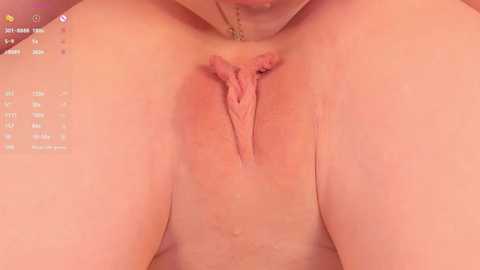 Media: Video of a close-up of a woman's shaved vulva with labia minora visible, positioned centrally in the image. The background is blurred, with a digital interface showing streaming options in the top left corner.