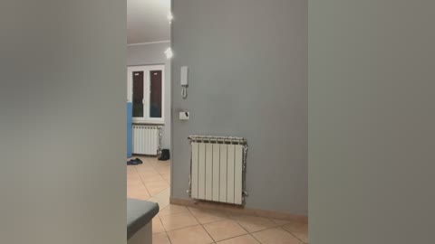 Media: A video of a minimalistic, sparsely furnished apartment hallway with light gray walls, a white radiator, and a white door with blue accents. The floor is tiled in beige.