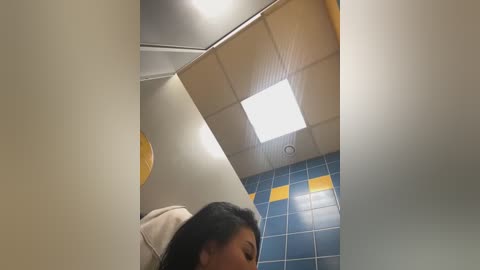 Media: Video of a woman with long black hair, partially visible, in a restroom with blue and yellow tiled walls, a fluorescent ceiling light, and beige ceiling panels.