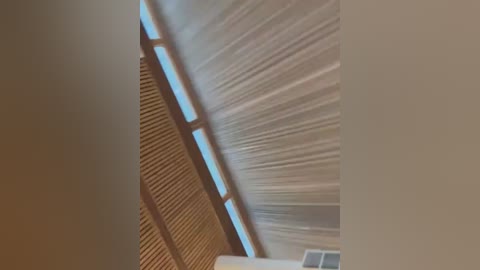 Media: Video of an interior ceiling with a wavy, corrugated texture, featuring horizontal wooden slats and vertical fluorescent lights, creating a modern, industrial aesthetic.