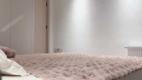 Media: Video of a minimalist bedroom featuring a plush, pink quilted bedspread, white walls, and a white radiator on the right. The room has a modern, clean aesthetic.