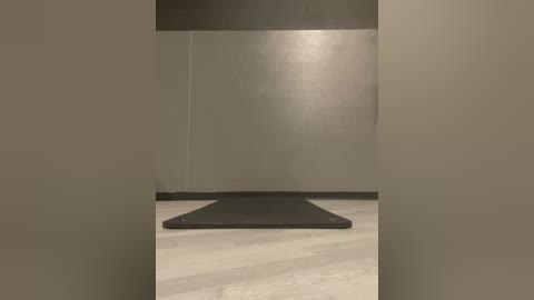 Media: Video of a minimalist room with beige walls, a black yoga mat on a light wood floor, and a small, circular rug in the center.